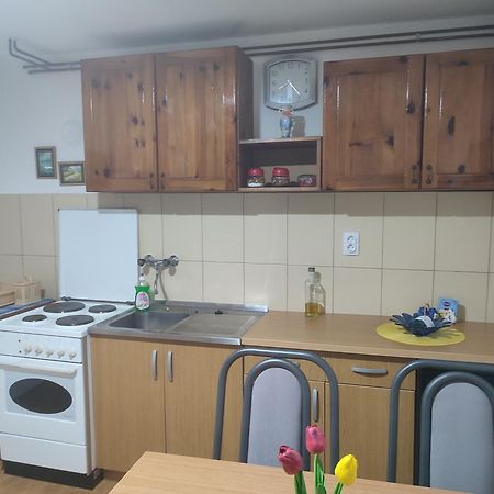 Joca Appartement Bajina Basta Buitenkant foto