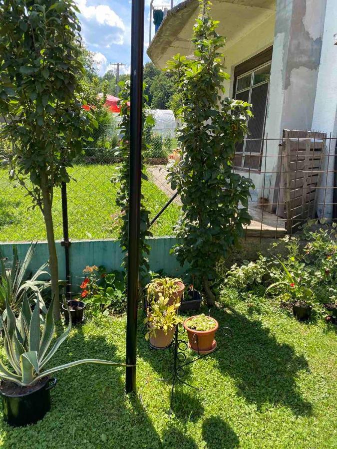 Joca Appartement Bajina Basta Buitenkant foto