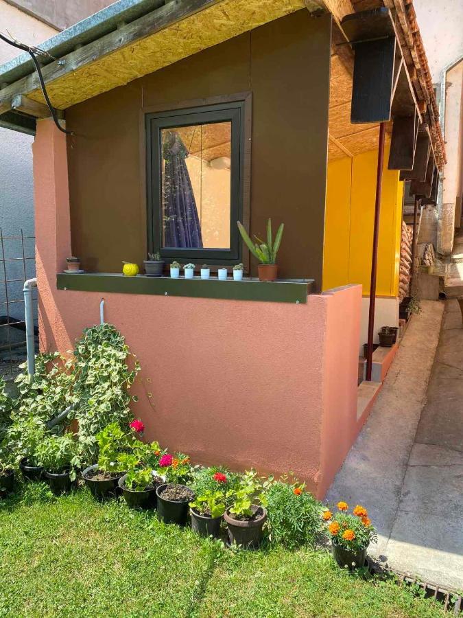 Joca Appartement Bajina Basta Buitenkant foto