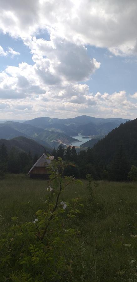 Joca Appartement Bajina Basta Buitenkant foto