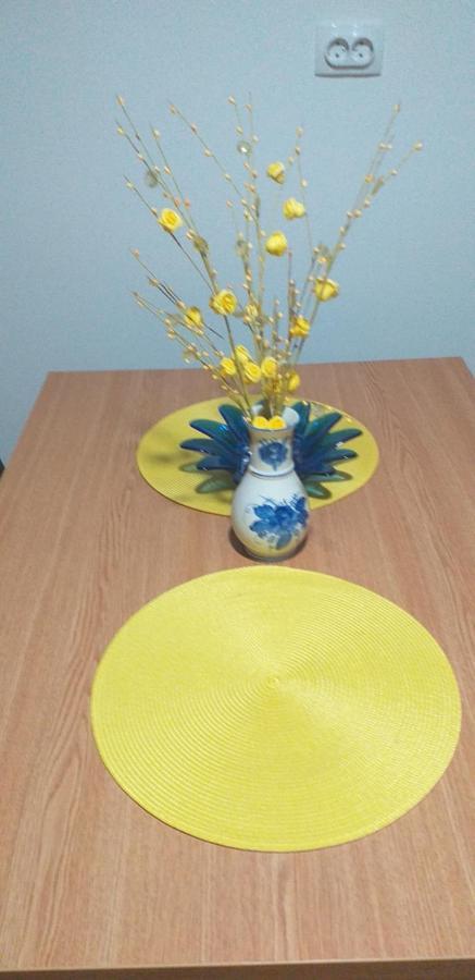 Joca Appartement Bajina Basta Buitenkant foto