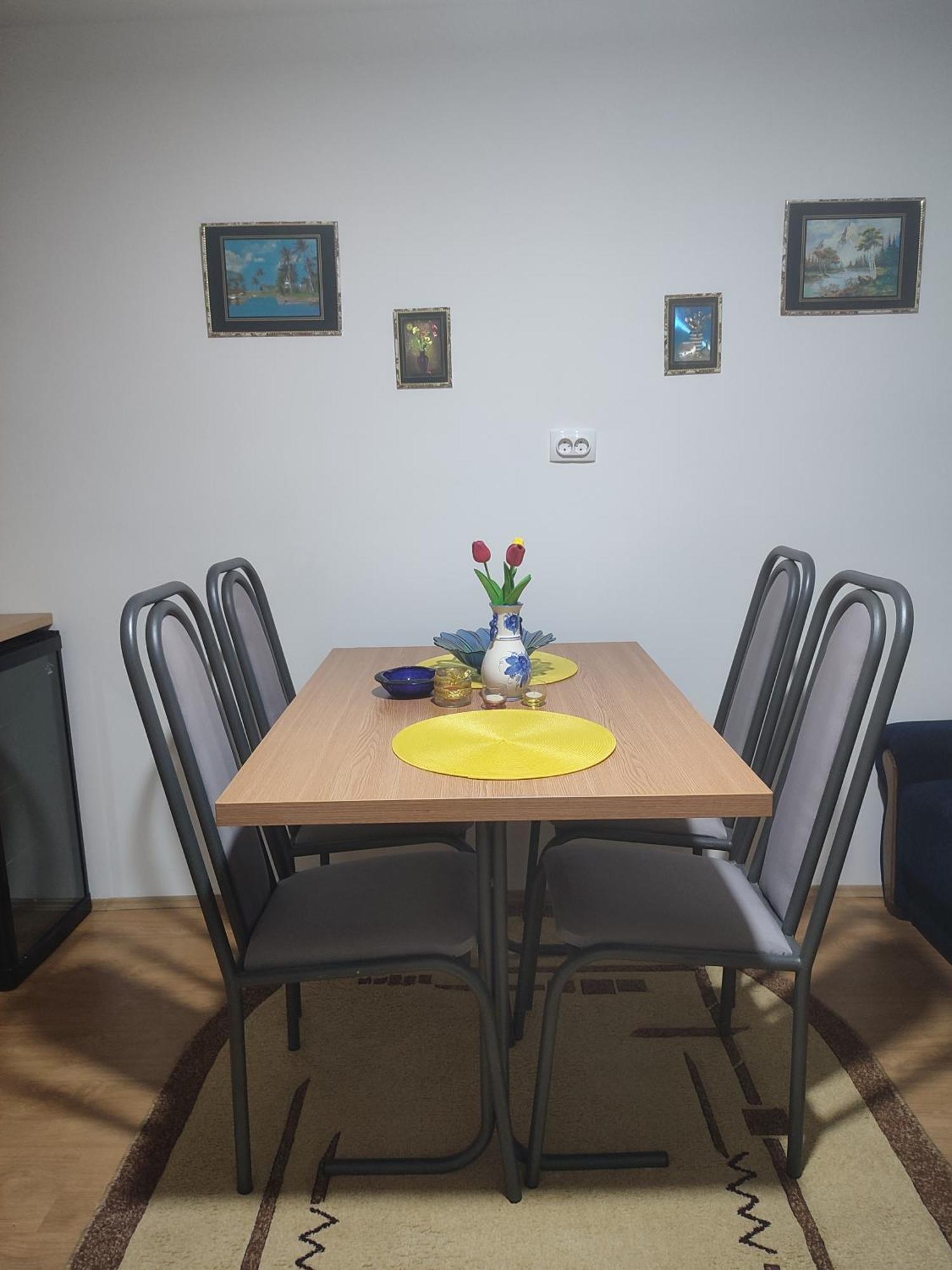 Joca Appartement Bajina Basta Buitenkant foto