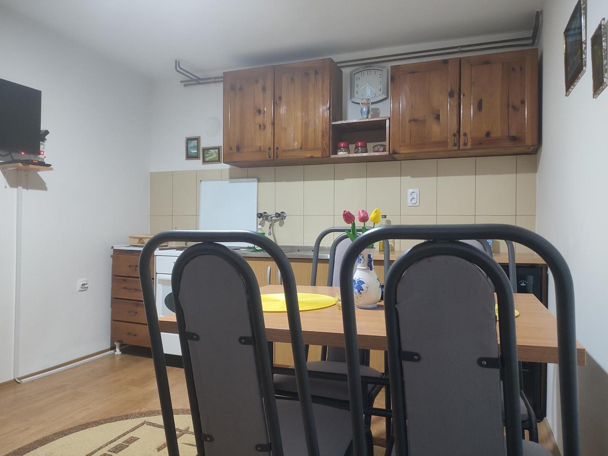 Joca Appartement Bajina Basta Buitenkant foto