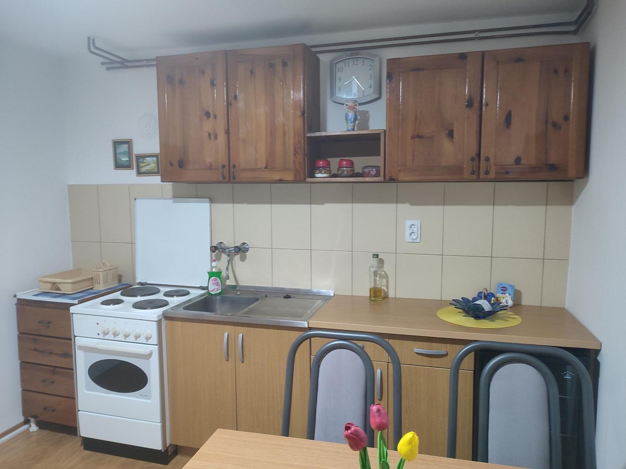 Joca Appartement Bajina Basta Buitenkant foto