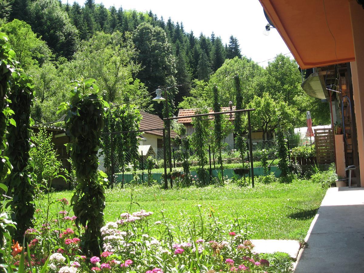 Joca Appartement Bajina Basta Buitenkant foto