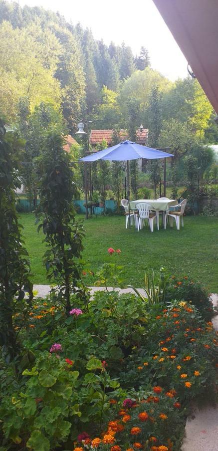 Joca Appartement Bajina Basta Buitenkant foto